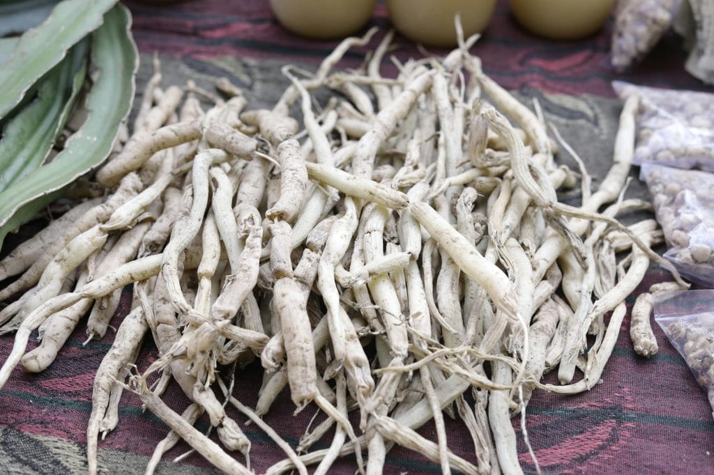 Ayurvedik bitkiler