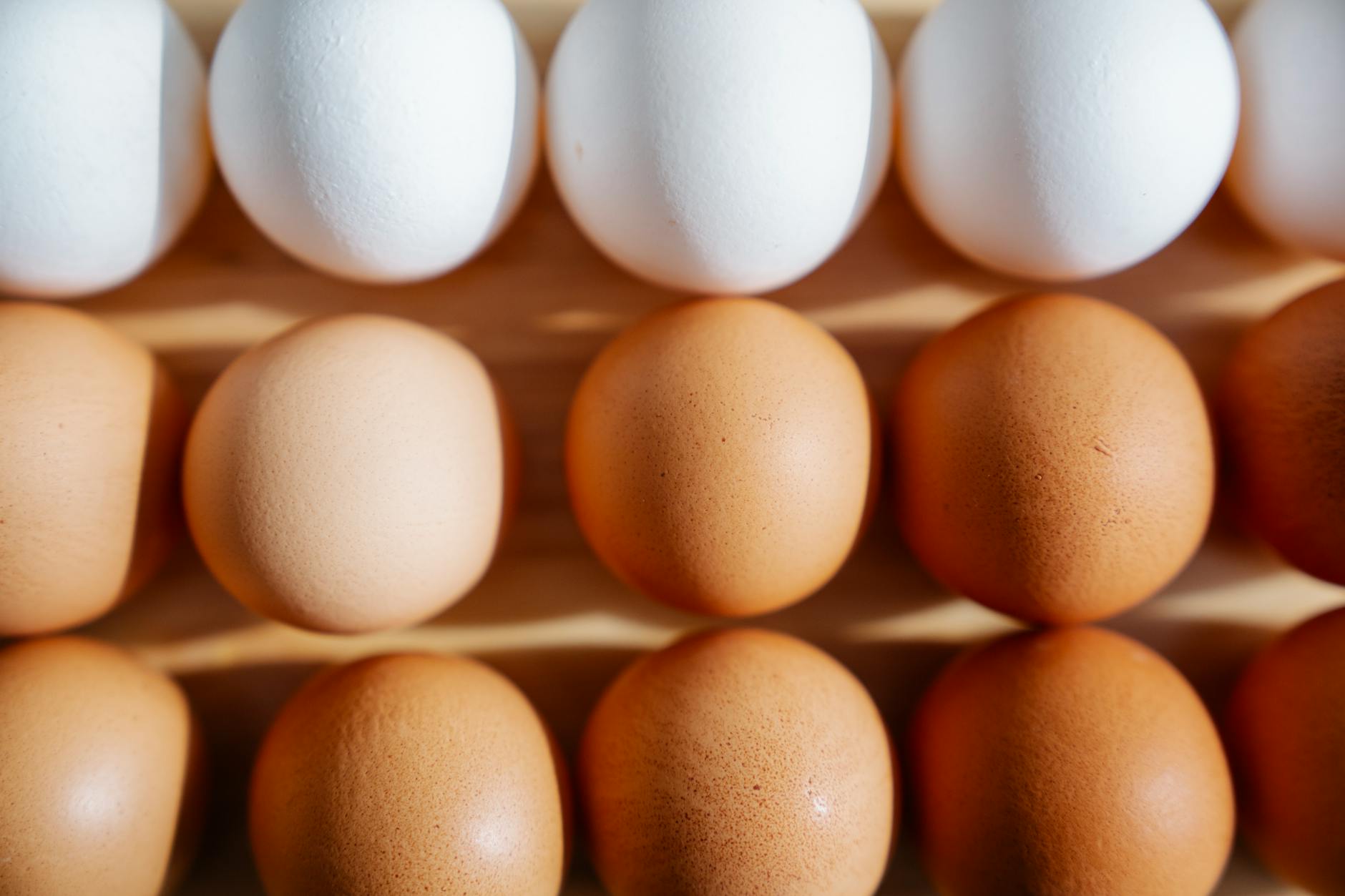 kilo kaybı protein